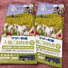 マザー牧場 招待券 2枚のサムネイル