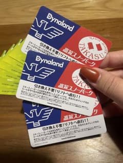 高鷲＆ダイナランド共通リフト1日券/3枚セット！割引券付きのサムネイル
