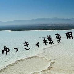 ゆっきィ様専用ページのサムネイル