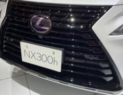 レクサス NX300H ブラックシークエンス スピンドルグリル ガーニッシュ 