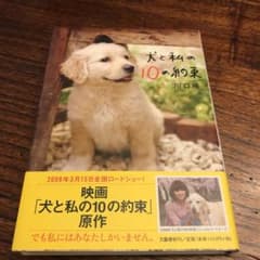 犬と私の10の約束のサムネイル
