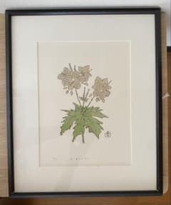 坂本直行 「ちしまふうろ」 リトグラフ 22/150 額装 六花亭 - メルカリ
