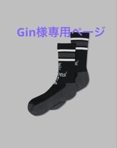 Gin様専用ページのサムネイル