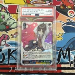 安いヴァイスシュヴァルツ バニーガールの通販商品を比較