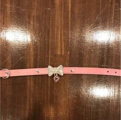 犬用 首輪のサムネイル
