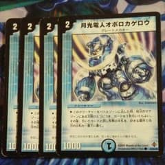 オボロカゲロウのサムネイル