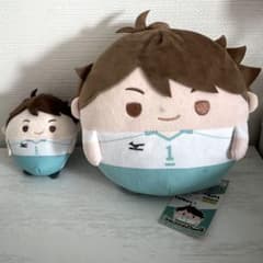 m23785056757_1.jpg?1726556418