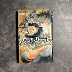 블랙 클로버 정리 판매