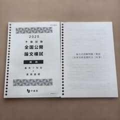 伊藤塾 2025年 予備試験 全国公開論文模試 解説（問題・論述例の掲載有り）のサムネイル