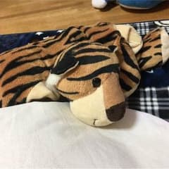 A(ギョウ)さん専用のサムネイル