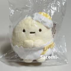 m23799407416_1.jpg?1730401124