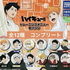 ハイキュー‼︎ トレーニングメニュー 缶バッジ 全12種 コンプリート