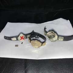 WWEフィギュア用チャンピオンベルト3本セット ジャンク - メルカリ