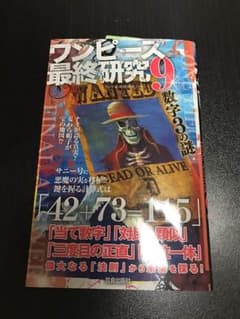 ワンピース最終研究9のサムネイル