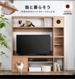 壁面テレビ台　キャットウォーク　天窓付き美品です！のサムネイル