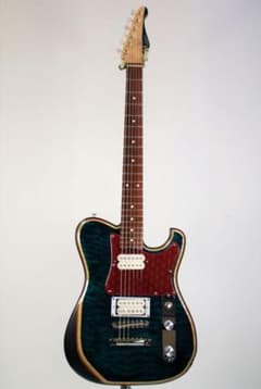 T.S. Factory エレキギター ハードケース付き　 151A-TSSP T.S. Factory エレキギター ハードケース付き 151A-TSSP - メルカリ