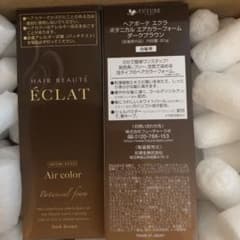 ヘアボーテ エクラ ボタニカルエアーフォーム　ダークブラシ　2本のサムネイル