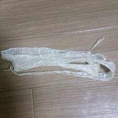 白蛇  脱け殻のサムネイル