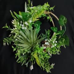 20cm】ナチュラルグリーンリース ボタニカルリース玄関フェイク