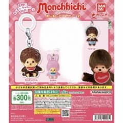 モンチッチ めじるしアクセサリー2 4種セット ガチャのサムネイル