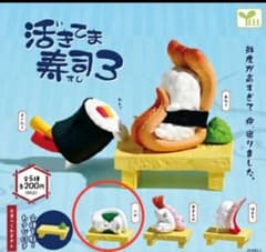 活きてま寿司3〈いか〉のサムネイル