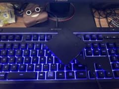 Reasnows1のサムネイル