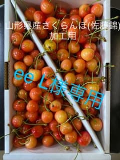 山形県産さくらんぼ (佐藤錦) ee L様専用のサムネイル