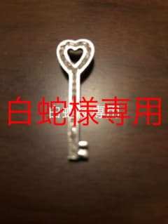 ホワイトゴールドネックレストップのサムネイル