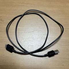 ウオークマンケーブル 1m 純正