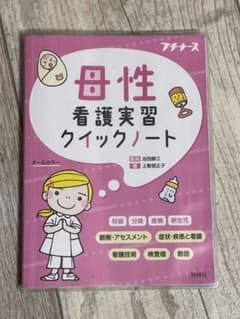 母性看護実習クイックノートのサムネイル