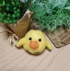 確認用 キイロイトリもどき‪w‪wのサムネイル