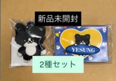 イェソン ファンライト ペンライトアクセサリー ぬいぐるみ