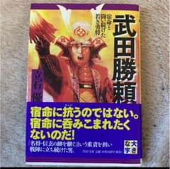 立石のサムネイル