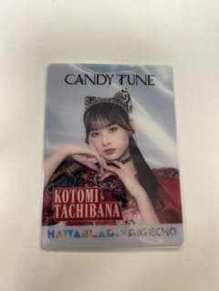 ❤︎様 リクエスト 2点 まとめ商品のサムネイル