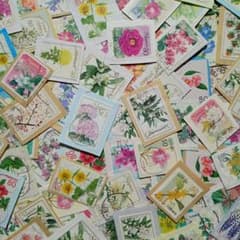 使用済み切手　ふるさとの花のサムネイル