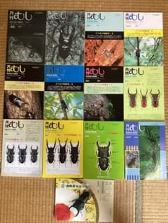 月刊むし 1987〜2001年 クワガタ特集号・1〜13 13冊 (有)むし社 月刊むし 1987〜2001年 クワガタ特集号・1〜13 13冊 (有)むし社 - メルカリ