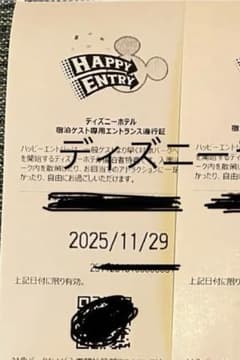 11/29ディズニーランド ハッピーエントリー入場券2枚 - メルカリ