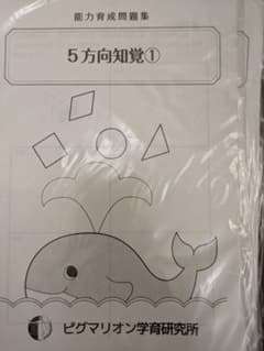5方向知覚① ピグマリオンのサムネイル