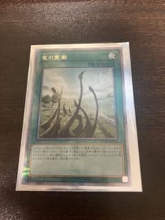 竜の霊廟　25th  遊戯王のサムネイル