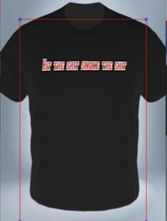 【ストリート系】ファッション　Tシャツ　サイズL  メンズ　レディースのサムネイル