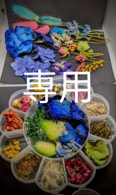 ドライフラワーのサムネイル