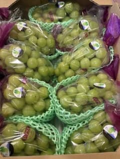 山梨県産 大粒！！シャインマスカット 9房セット 5kg - メルカリ