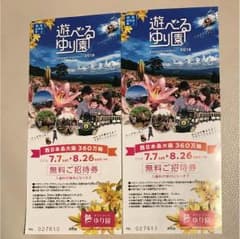 はつ様 専用ページ ダイナランド ゆり園 無料ご招待券 ２枚のサムネイル