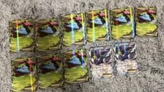 ポケモンカード フシギバナEX トルネロスEX まとめ売り 【希少 