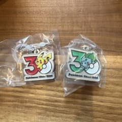 포켓몬 30주년 메탈 매력 메지루시 피카츄