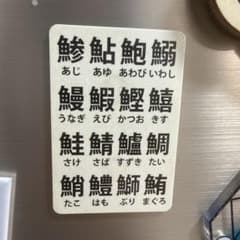 魚の漢字 冷蔵庫マグネット 魚介類 漢字＆ひらがな 日本語のサムネイル