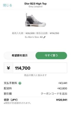 Dior ハイカット　レオパルド柄スニーカーのサムネイル