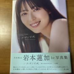 乃木坂46 岩本蓮加 1st写真集 いたずらな風のサムネイル