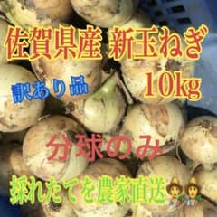 佐賀県産 新玉ねぎ 10kg 訳あり品のサムネイル