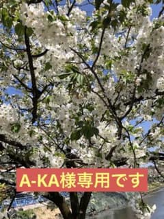 A-KA様専用のサムネイル